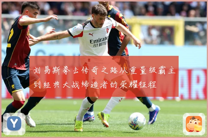 刘易斯拳击传奇之路从重量级霸主到经典大战缔造者的荣耀征程