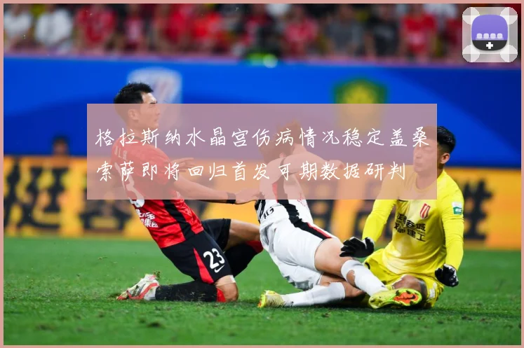 格拉斯纳水晶宫伤病情况稳定盖桑索萨即将回归首发可期数据研判