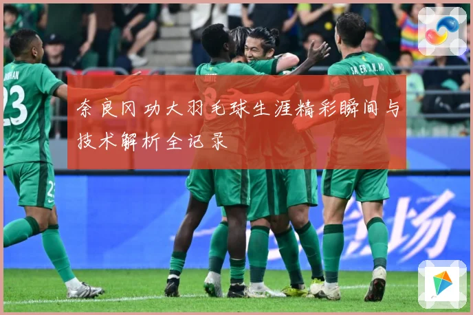 奈良冈功大羽毛球生涯精彩瞬间与技术解析全记录