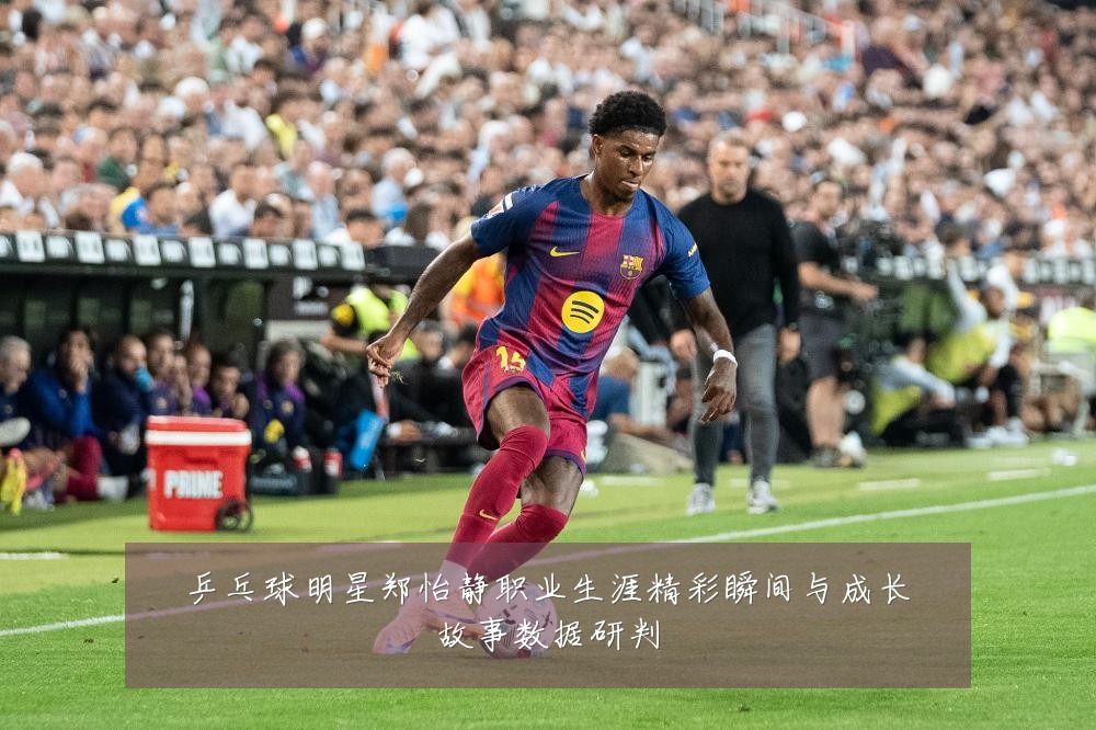 乒乓球明星郑怡静职业生涯精彩瞬间与成长故事数据研判
